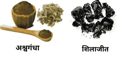 Ashwagandha Image